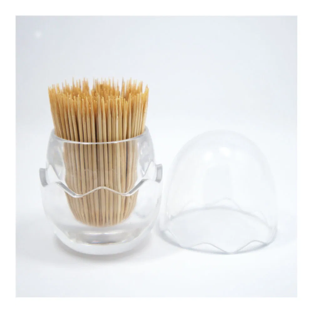 China Made High Quality Disposable Titanium Toothpick