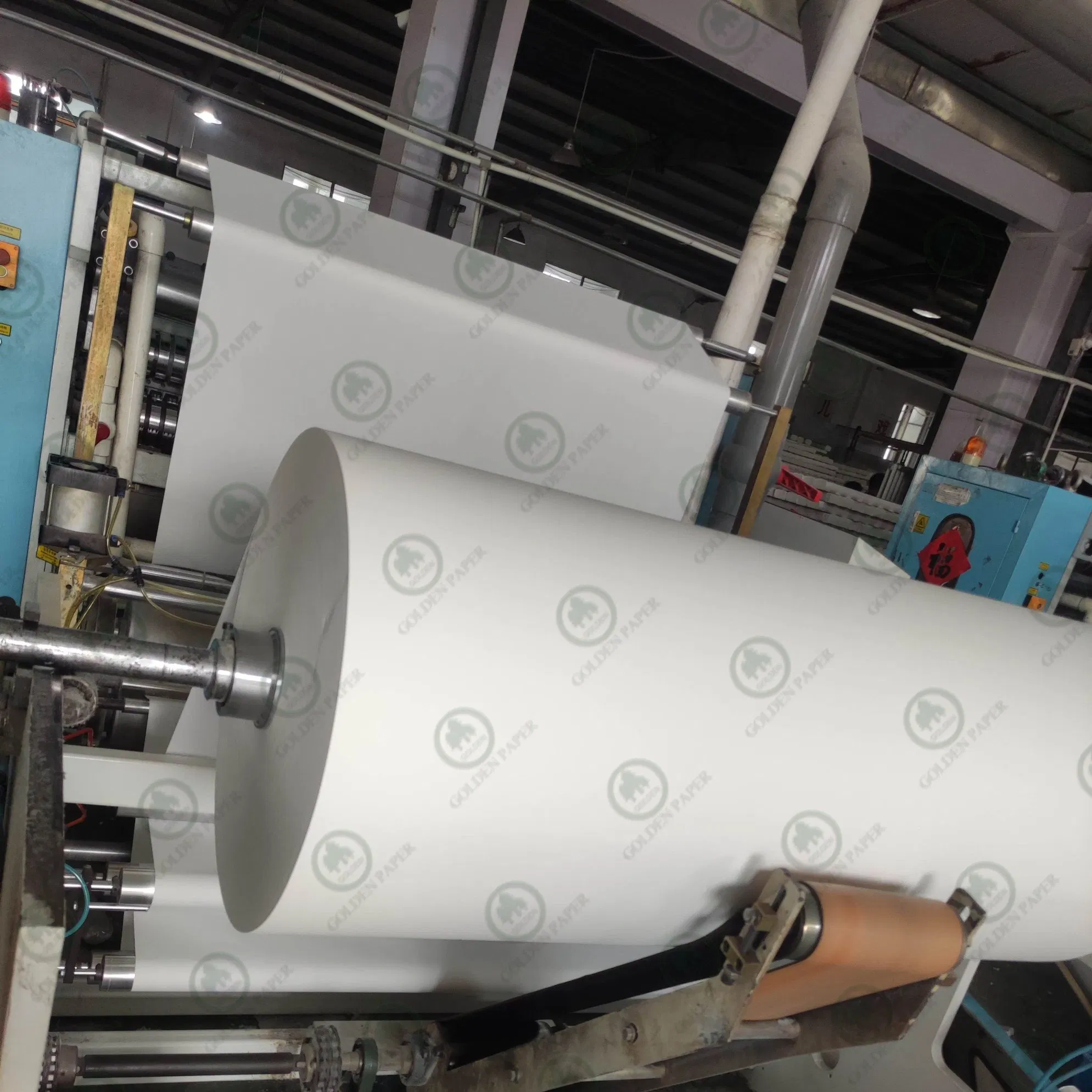 Mother Jumbo Roll for Making Toilet Paper Napkin Facial Tissue From Manufacturer at Competitive Price