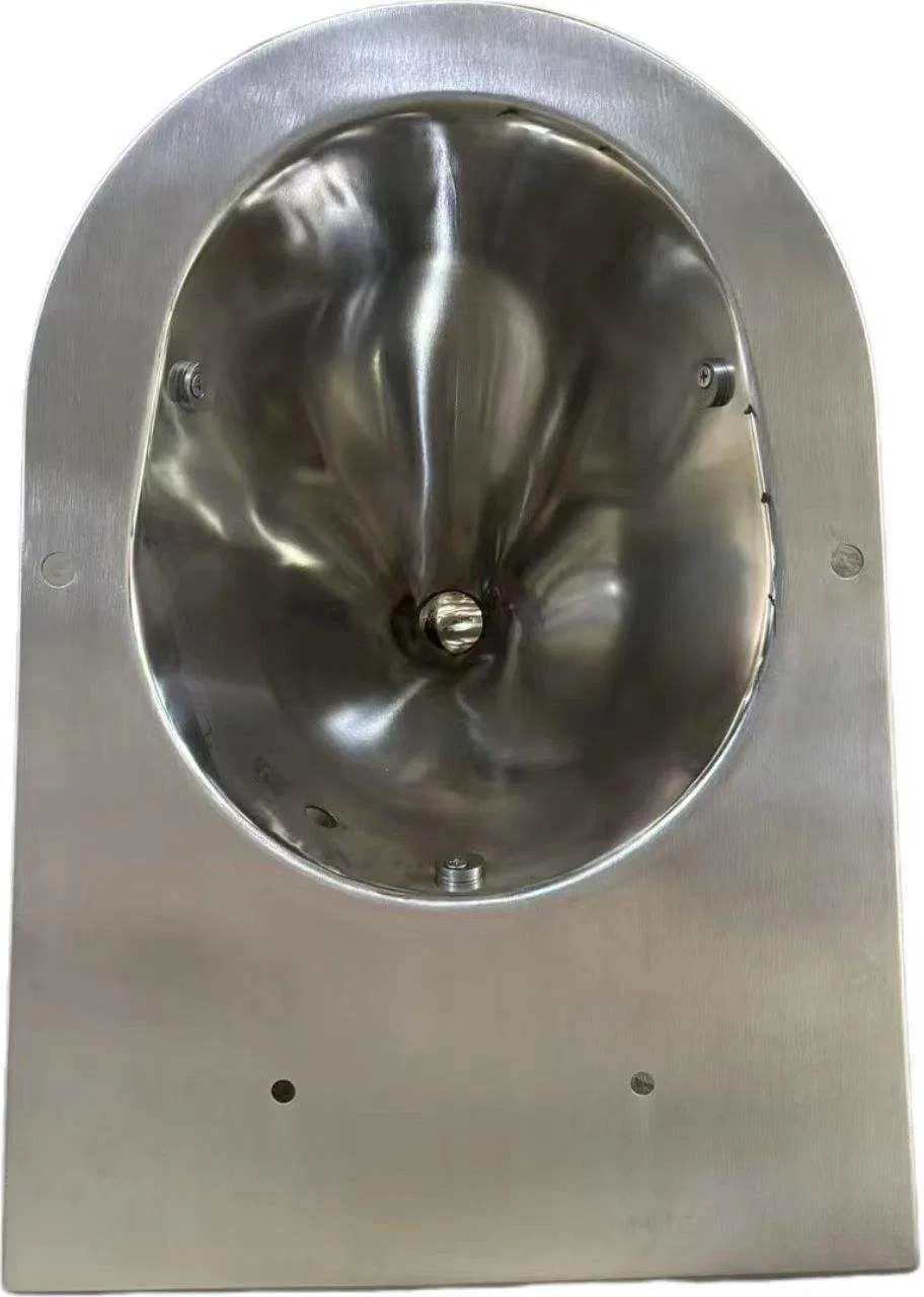 American Style Wall-Hung P-Trap Stainless Steel Toilet Prison Toilet