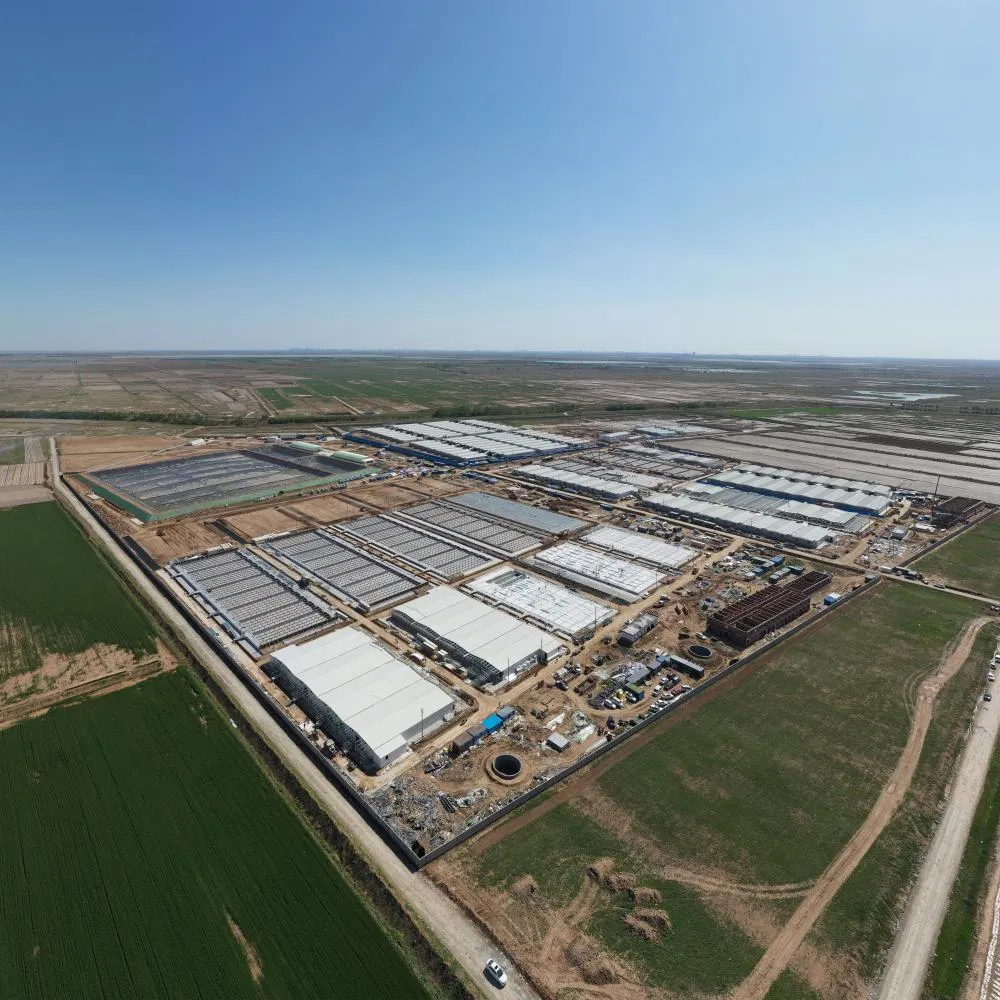 Factory Building Design Prefab Metal Frame Warehouse Shed Hangr Steel Structure Workshop