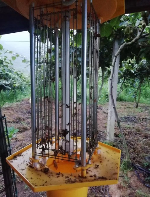 OEM Solar Insect Killer Lamp for Outdoor Kill Insect