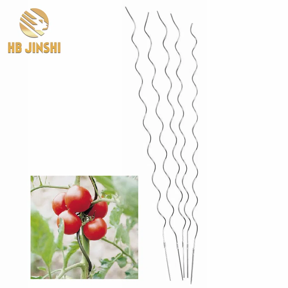 180 Cm Height Galvanized Spiral Tomato Stake