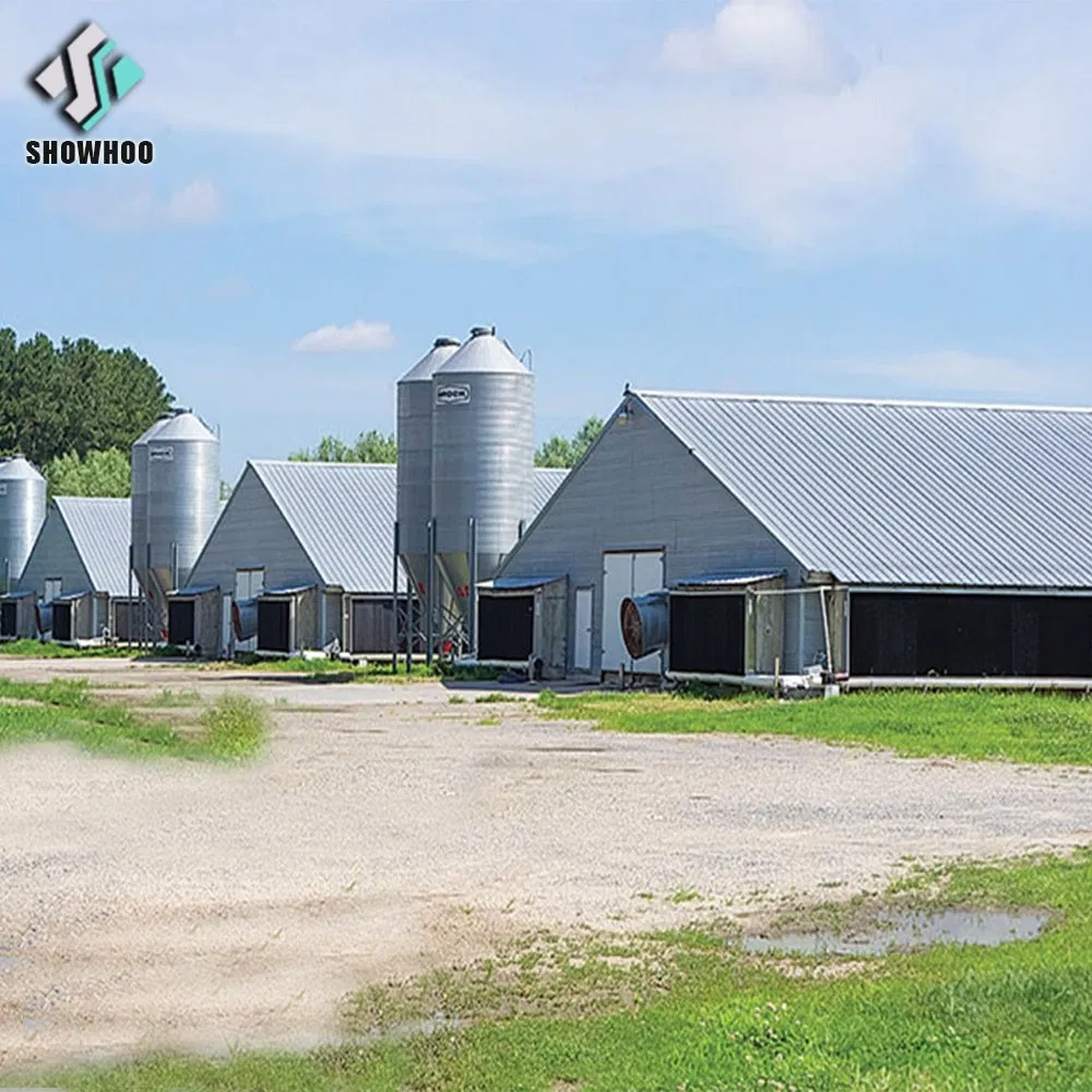 Modern Farmhouse-Style Automatic Poultry House Steel Structure