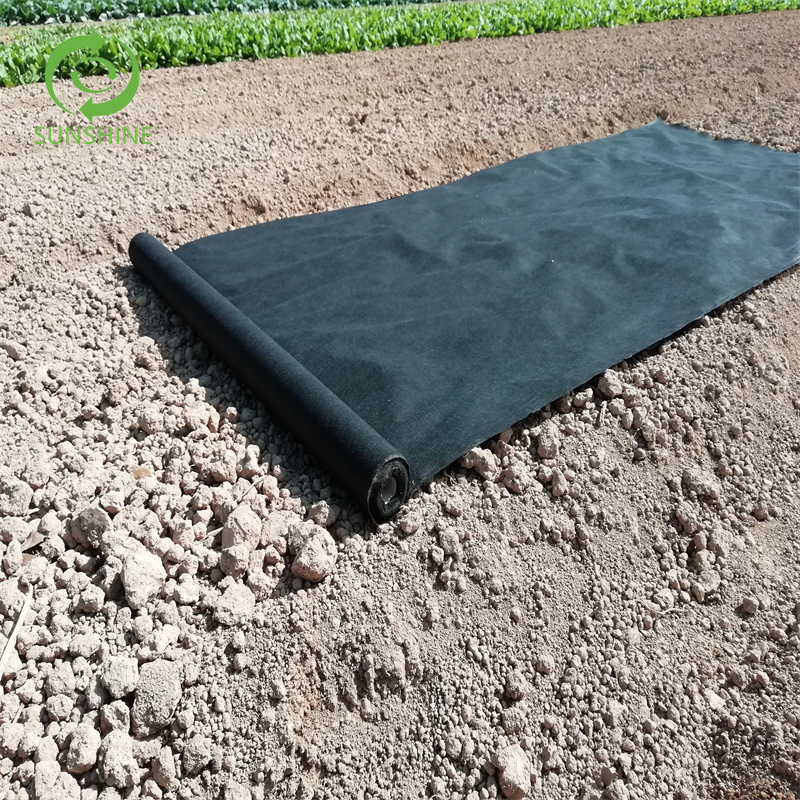 Spunbond Non Woven Agriculture Landscape Nonwoven Plant Cover Fabric