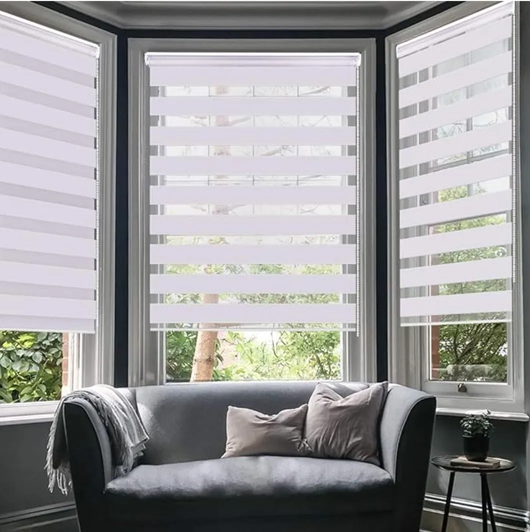 Easy-Install Double Roller Blinds for Living Room & Office - Zebra Shades with Light Filtering & Privacy