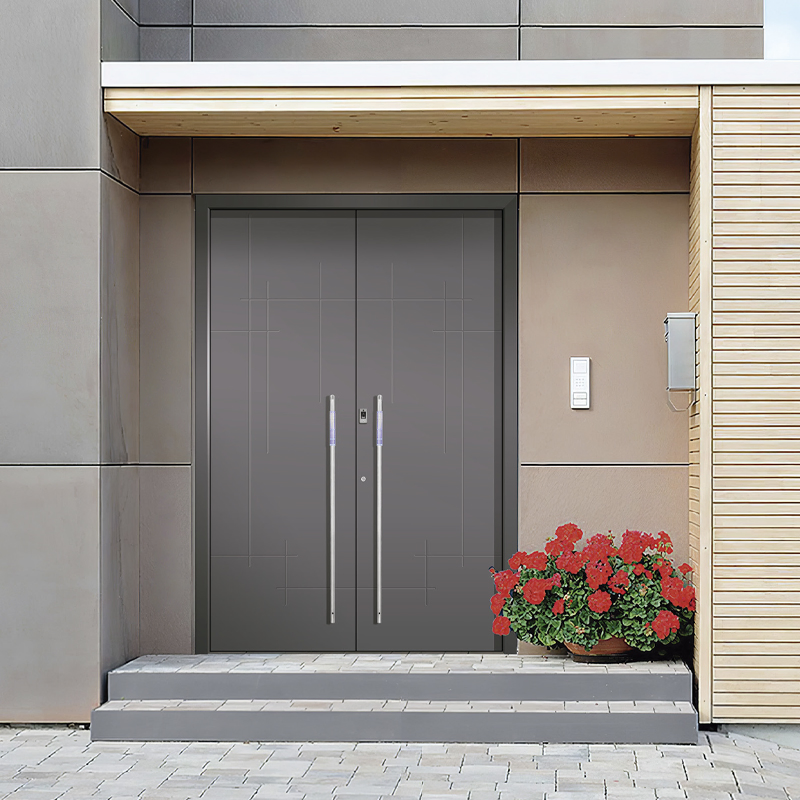 Durable Soundproof Entrance Doors with Fireproof Glass Design