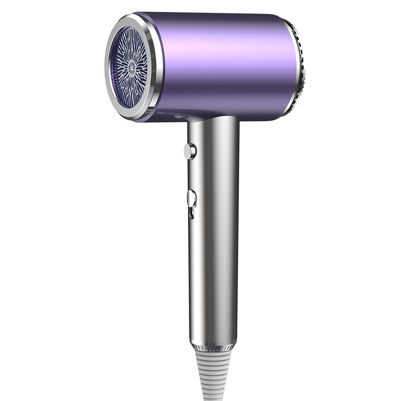 Professional Negative Ionic Hair Dryer for Home Use Hairdryer