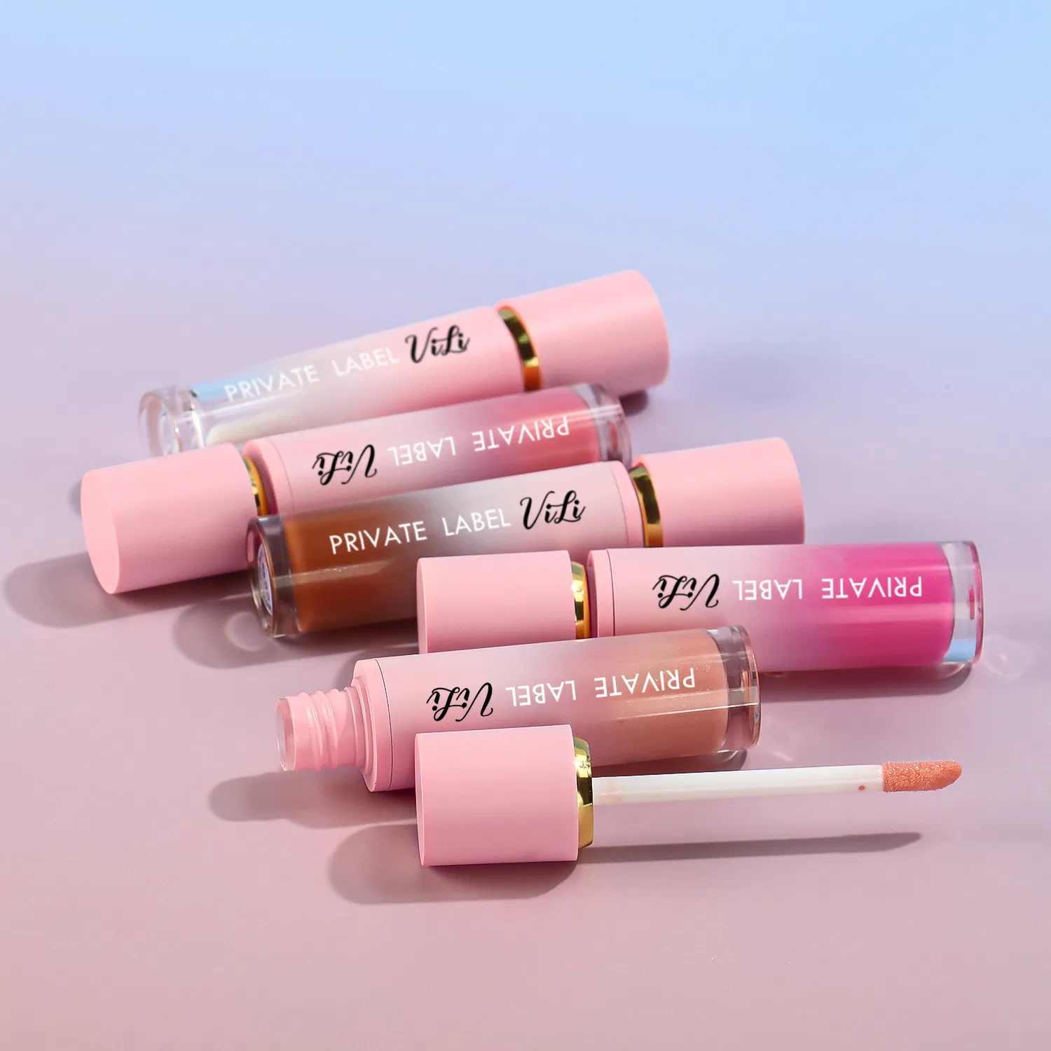 OEM Professional Beauty Makeup Lip Gloss Collection Lipgloss