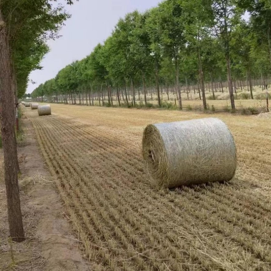 Cheap Price Customized Durable Anti-UV Round Bale Net Horse Hay Nets for Straw Silage Wrapping
