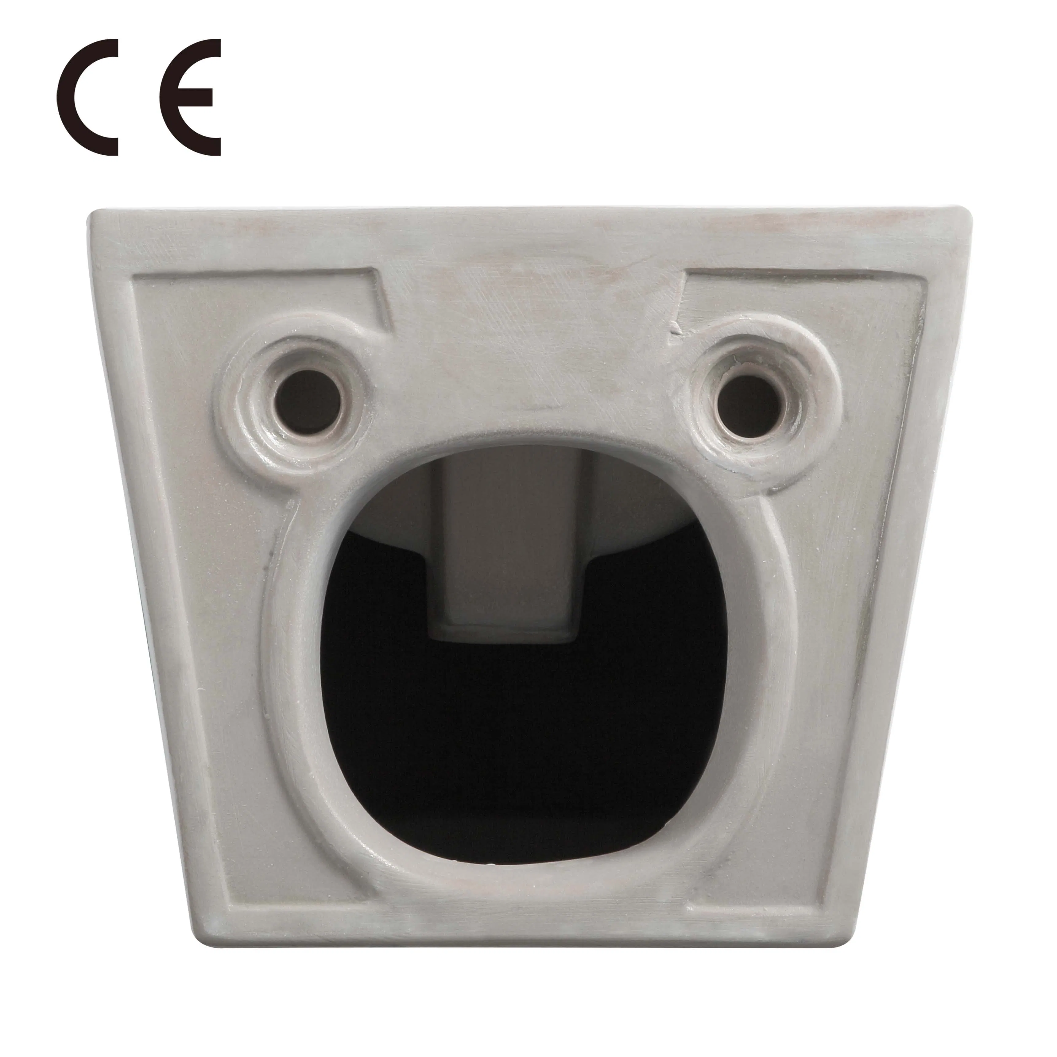 CE Wall Hung Modern Style Ceramica Luxury Wall Mounted Bidet