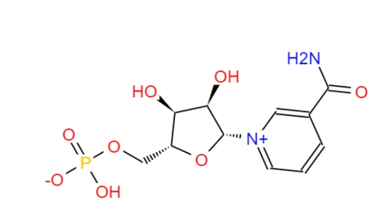 Anti-Aging Beta-Nicotinamide Mononucleotide CAS 1094-61-7 Nmn
