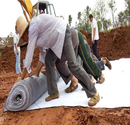 Geosynthectic Prefabricated Bentonite Clay Blankets for Ponds