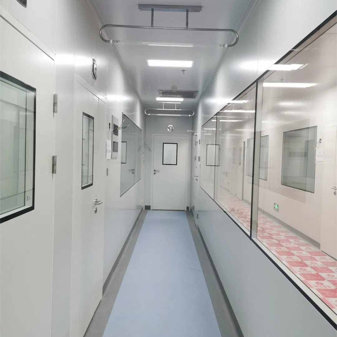 Cleanliness Window with Airtight Sealed Sandwich Panel Construction and Thermal Glazing