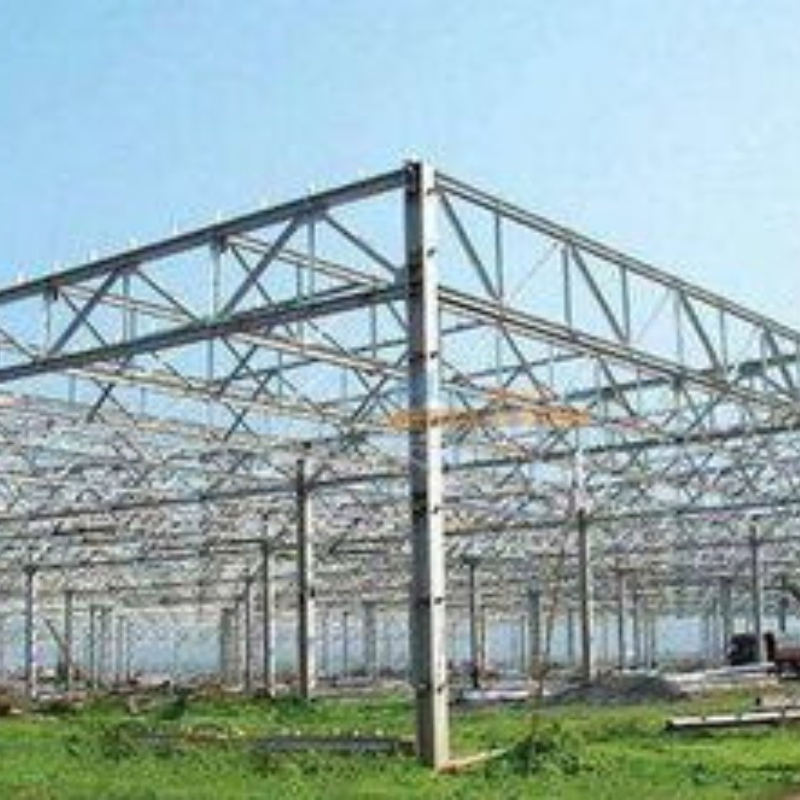 Steel Structure Shed Fabrication Design Company Metal Steel Structure Warehouse Building in China