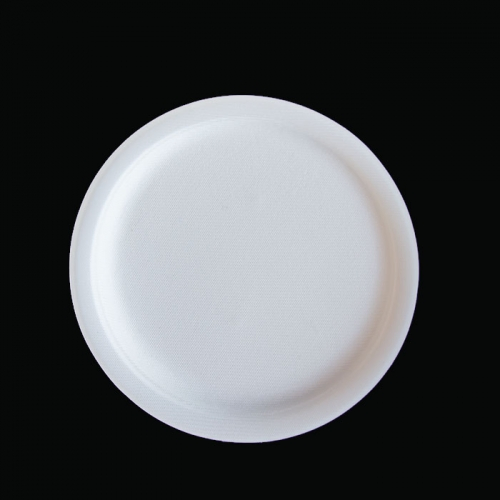 Factory Price Compostable Sugarcane Plate for Snack