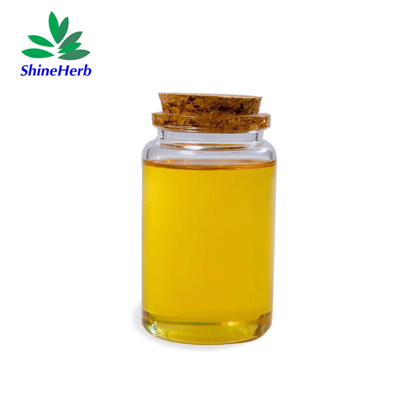 Free Sample Natural 100% Pure Ginger Essential Oil Gingerol