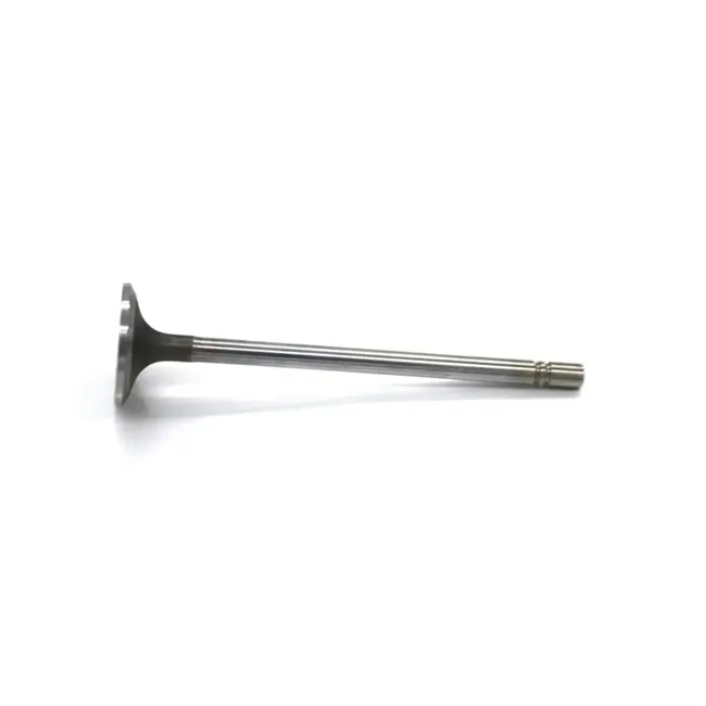 Впускной клапан дизельного двигателя Cat C7.1 T423393