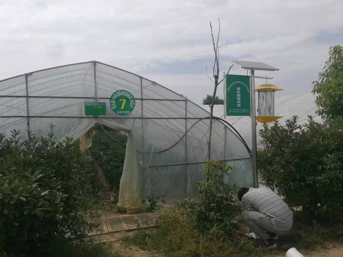 Hot Sale Solar Energy Insecticidal Lamp for Farm