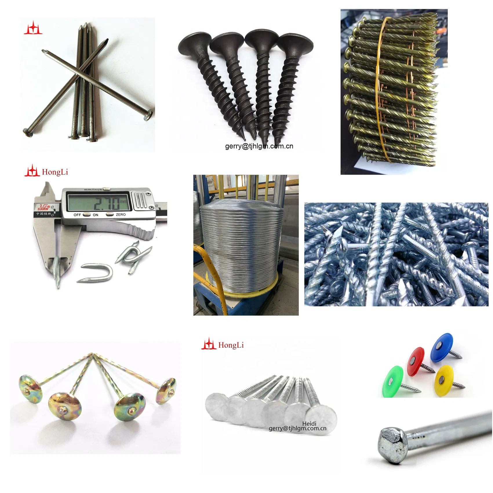 Common /Square Boat /Roofing/Duplex /Plastic Cap /Concrete /Coil /Clavo/Prego Nails