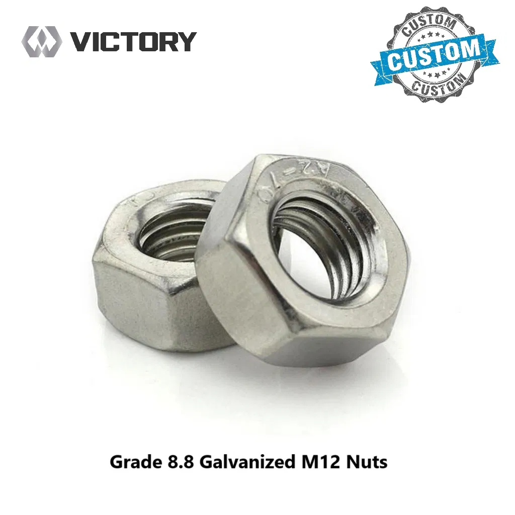 Weather-Resistant Hot DIP Galvanized Grade 8.8 Bolts and Nuts