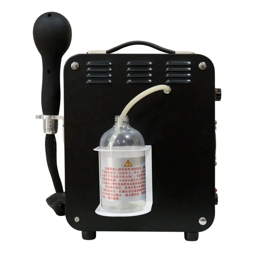 Professional Handheld Hair SPA Steamer for Face Nano Mist Sprayer Beauty Salon
