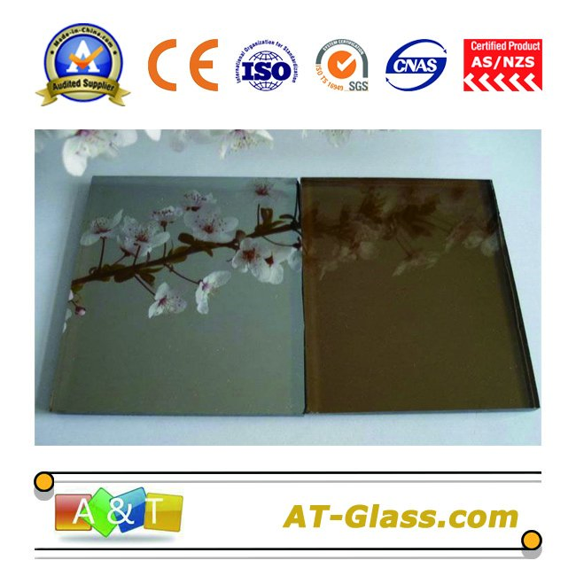 5mm Reflective Glass/Coated Glass for Window, Curtain Wall etc