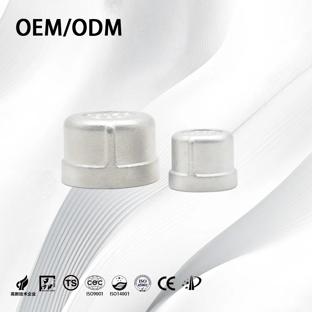 Stainless Steel End Cap ANSI B16.9 ASME B16.9 Sch80/Threaded/Butt Weld/Pipe Fitting