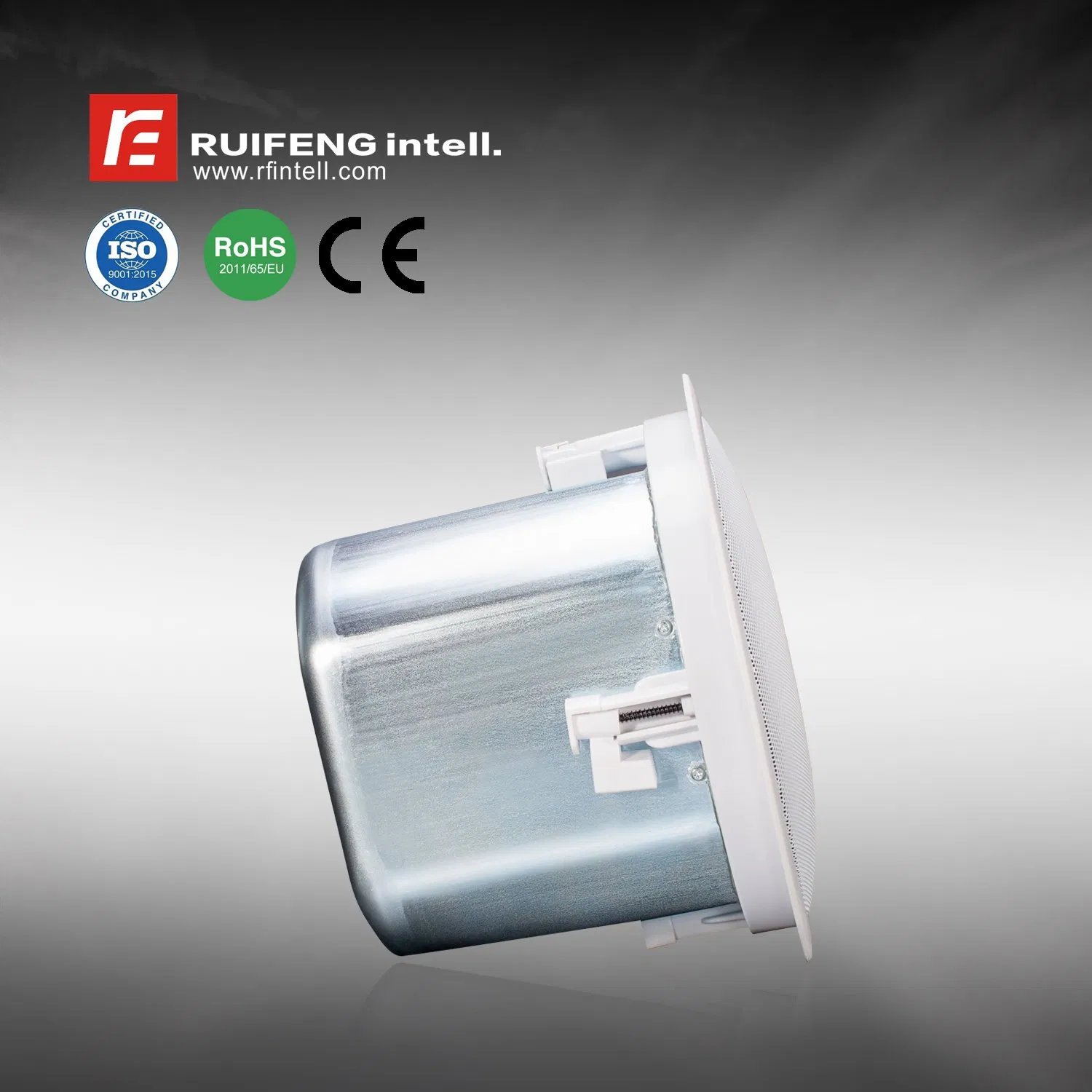 Conference Hall Banquet Hall Ceiling Speaker