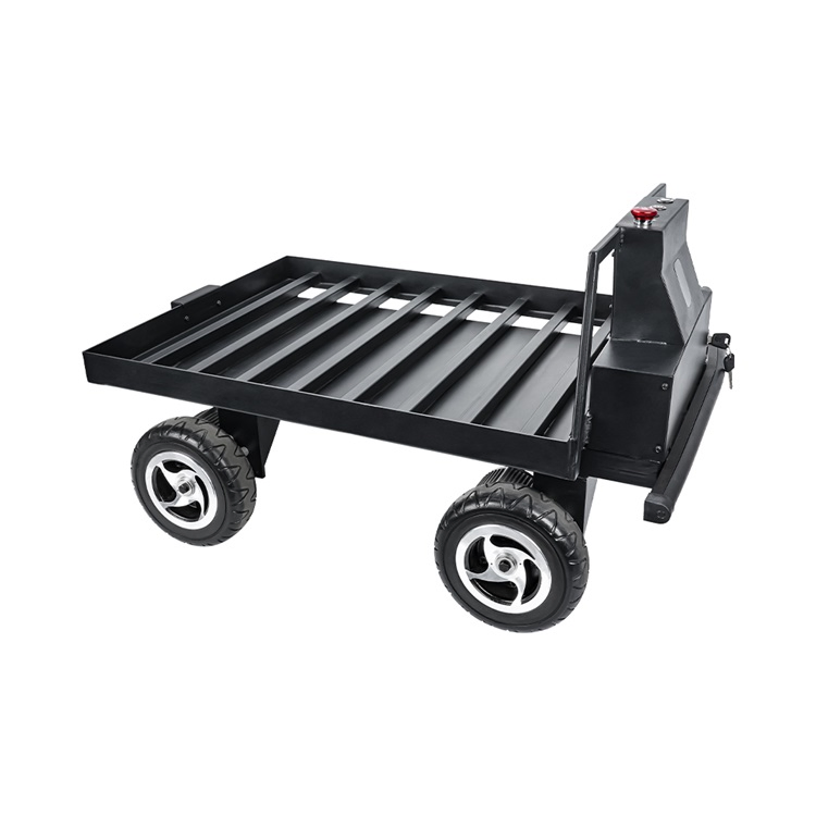 Indoor Robot Platform 100kg Payload Following Industrial Robot Agv Vehicle