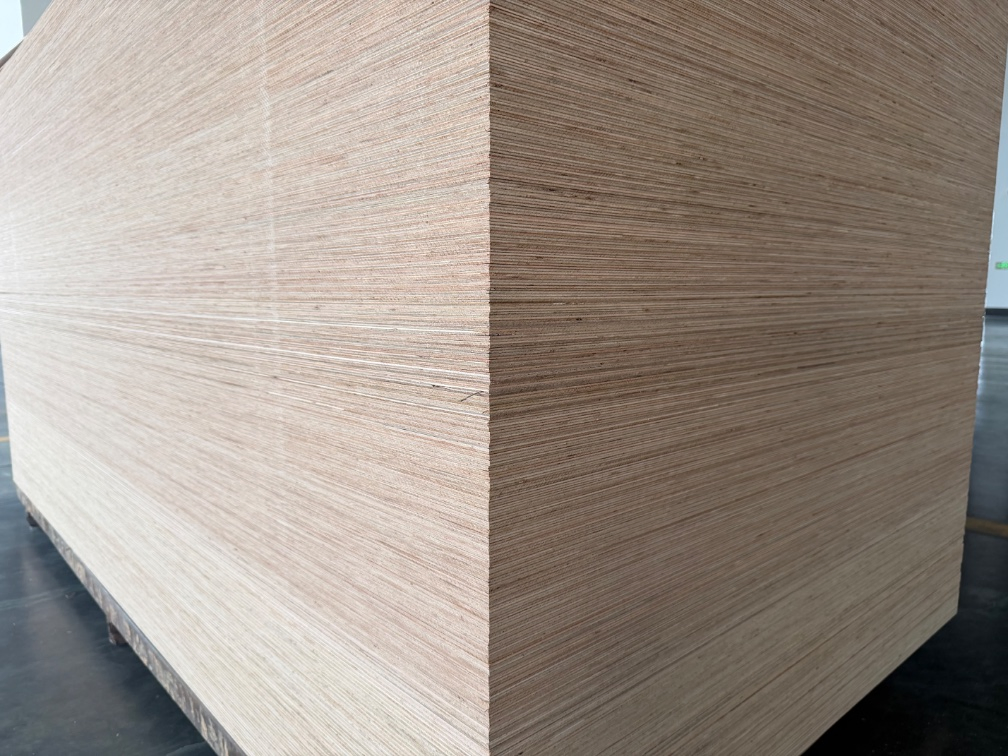 Plywood Faced Melamine Paper, UV, Wood Veneer