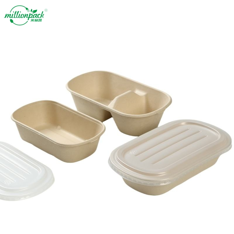 Versatile Disposable Square Box for Various Cuisines and Food Types