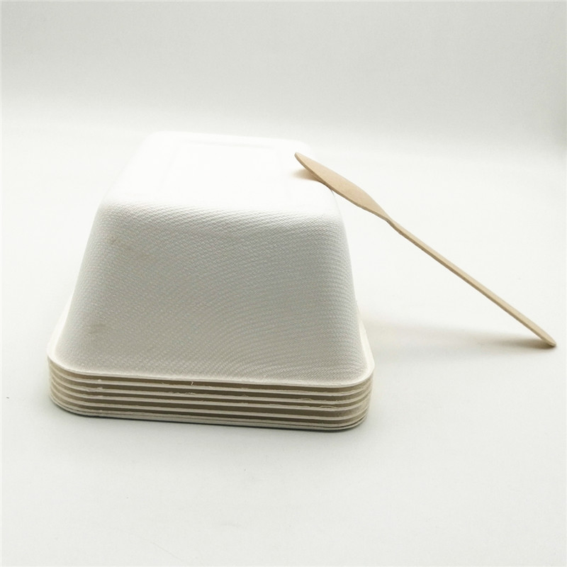 Disposable Biodegradable Sugarcane Bagasse Food Packaging Container