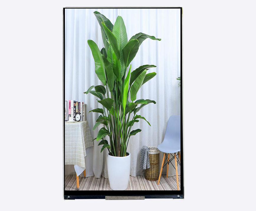 High Resolution 1200*1920DOT 8.0inch Mipi Interface IPS LCD Display Module