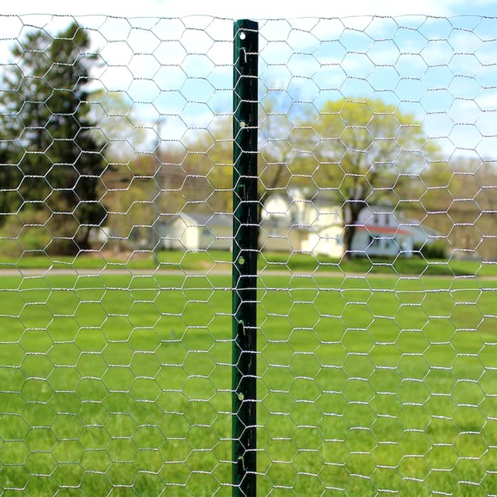 Steel Wire Mesh Protective Animal Breeding Enclosure Fence