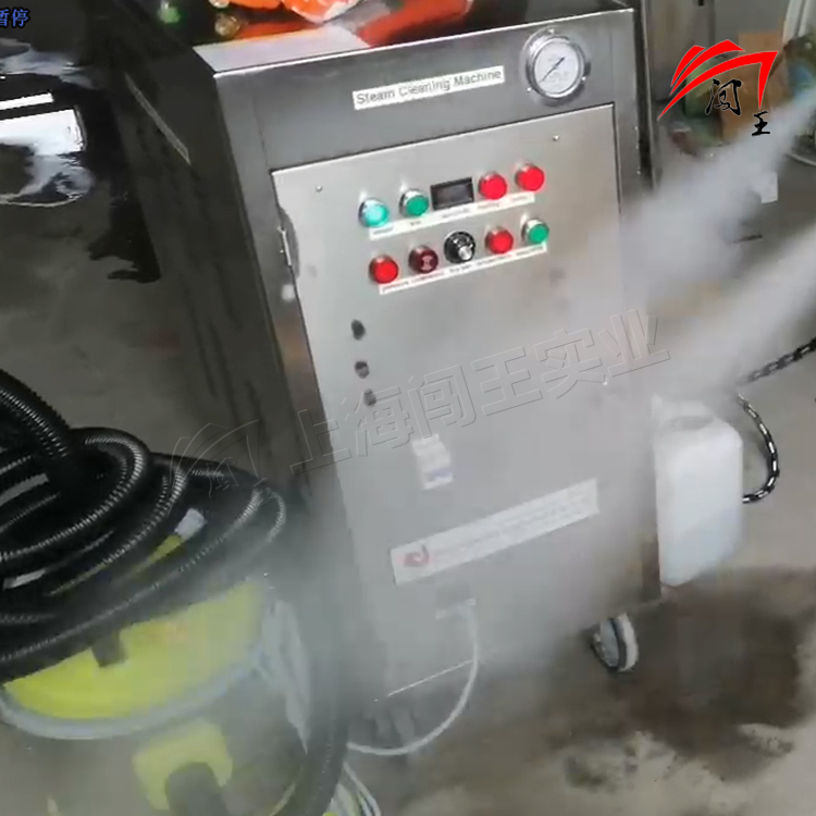 Powerful High Pressure Steam Cleaner for Vehicle Interiors