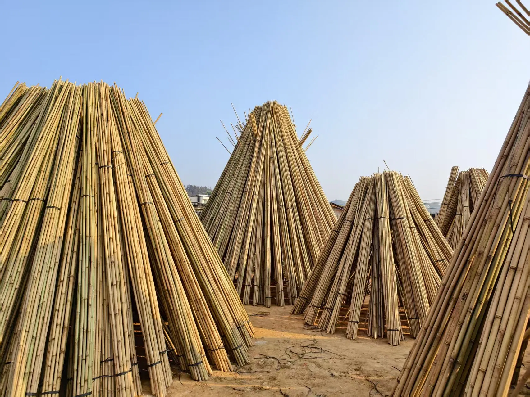 High Quality Nature Bamboo Cane Stake Dia. 20-22mm X 180cm for Plants Grow and Decorative