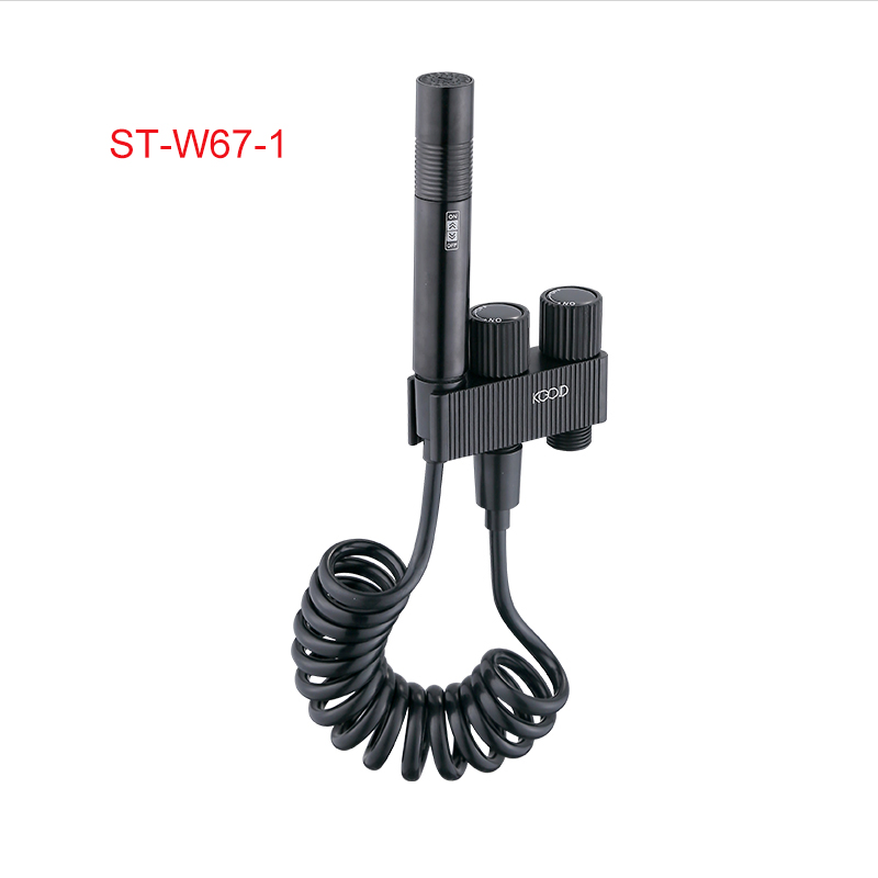 201 Stainless Steel Black Handheld Fitting Shattaf for Bathroom