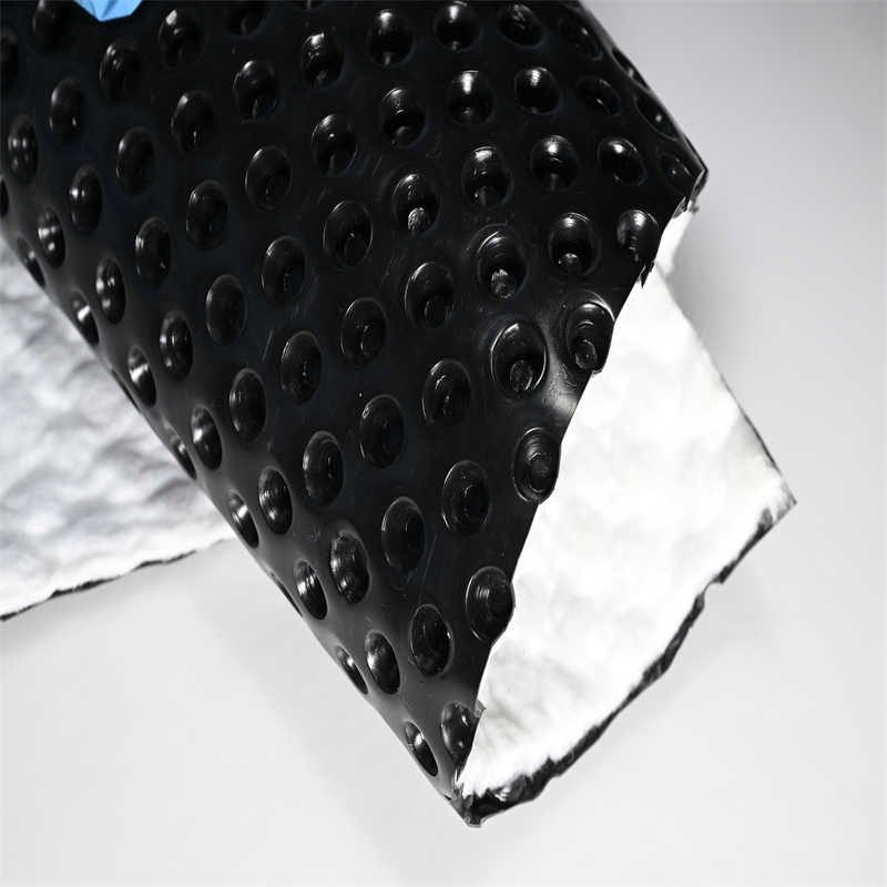 Dimple Cell Sheet 12mm 16mm Height HDPE Dimple Cell for Roof Greening
