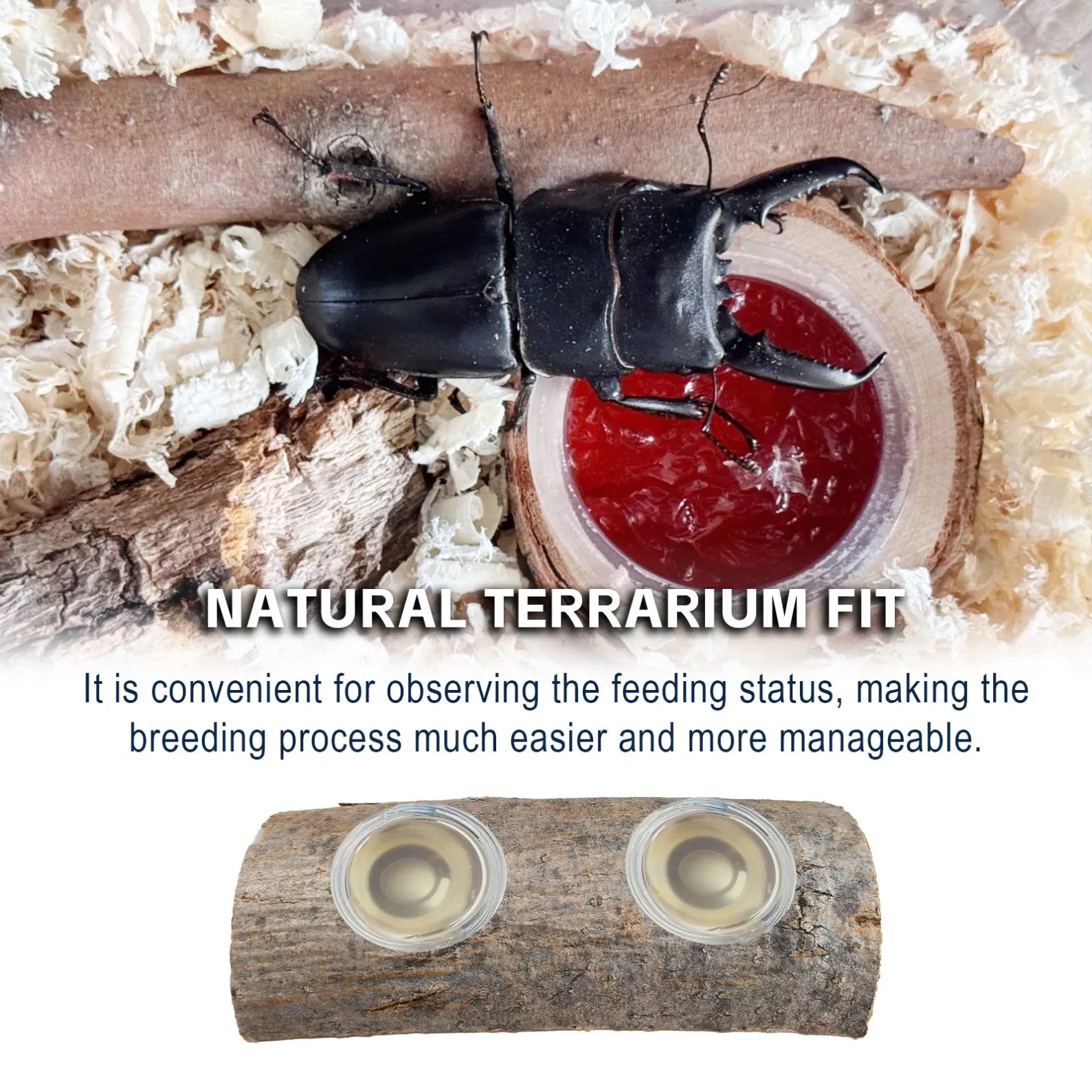 Safe Durable Wood for Insects Climbing and Hiding Resting