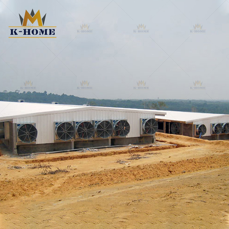 Cheap Chicken Layer House Steel Structure Poultry Farm for Sale