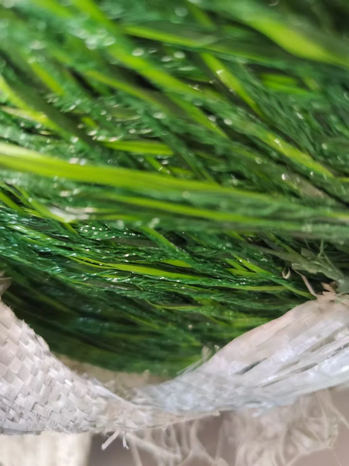 Premium UV-Resistant Green Shade Netting for Garden Use