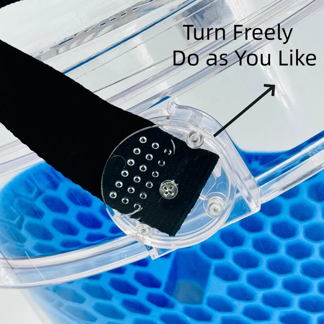 Scarcity Transparent Car Detailing Washing Bucket