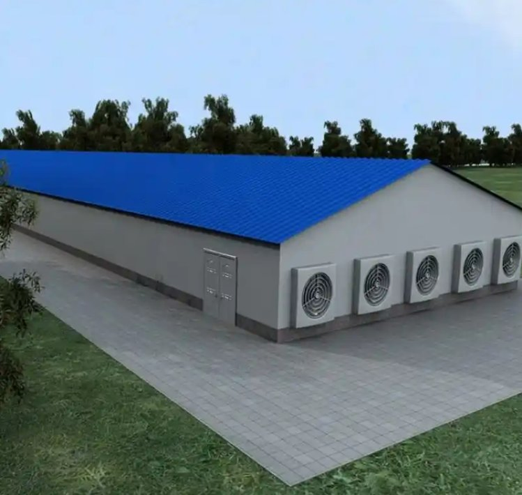 Low Cost Prefabricated Steel Structure Building for Chicken House Design