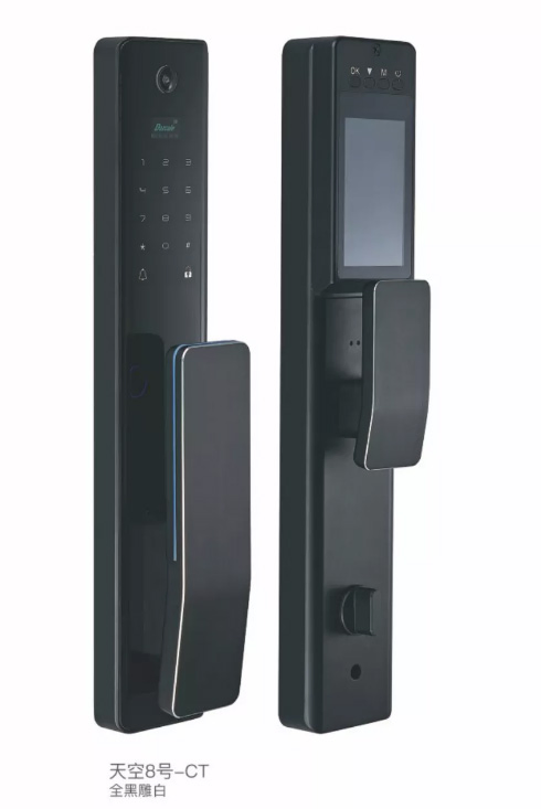 Modern Intelligent Fingerprint IC Card Smart Door Lock