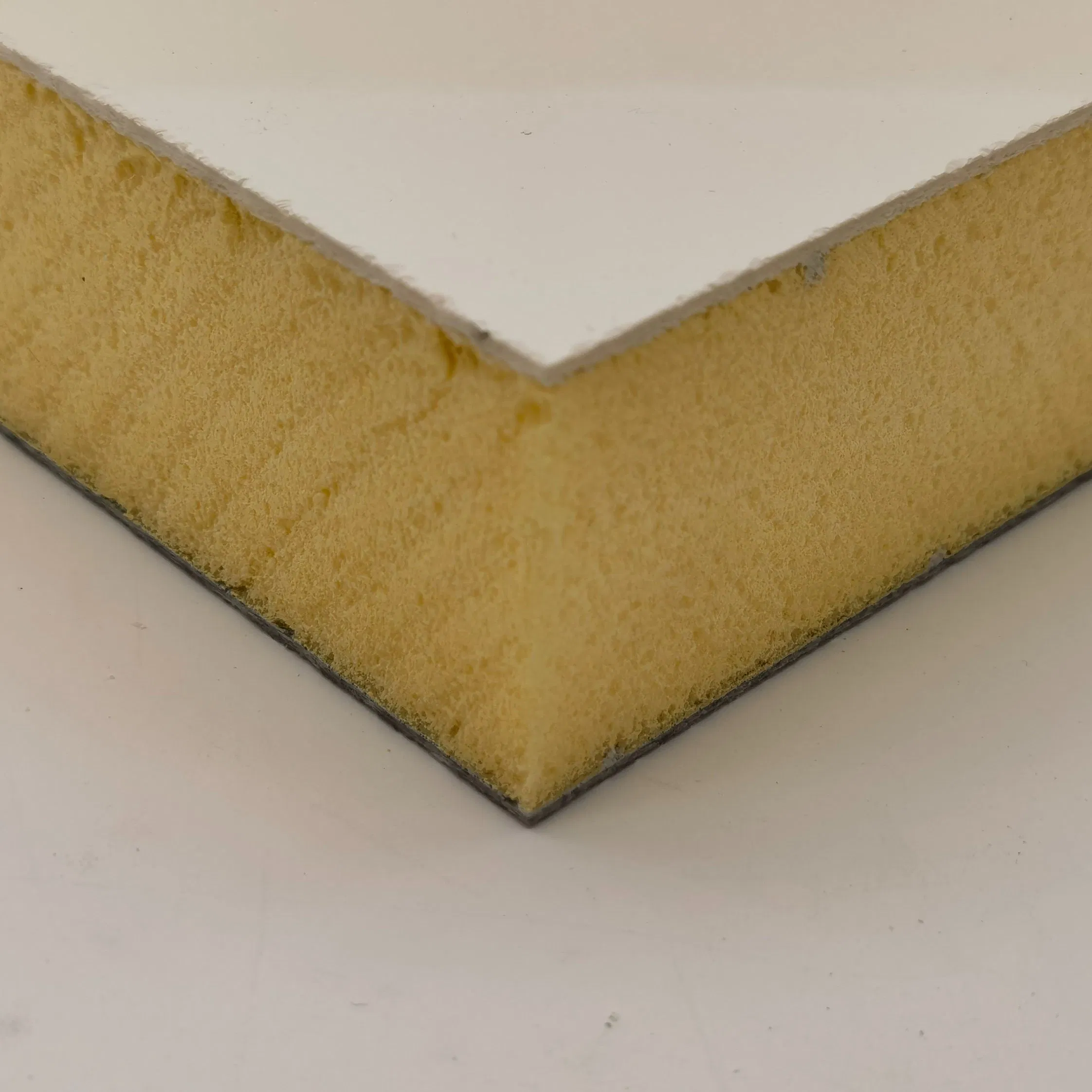 Thermal Insulation Foam Board FRP XPS Foam Core Panel for Cold Storage