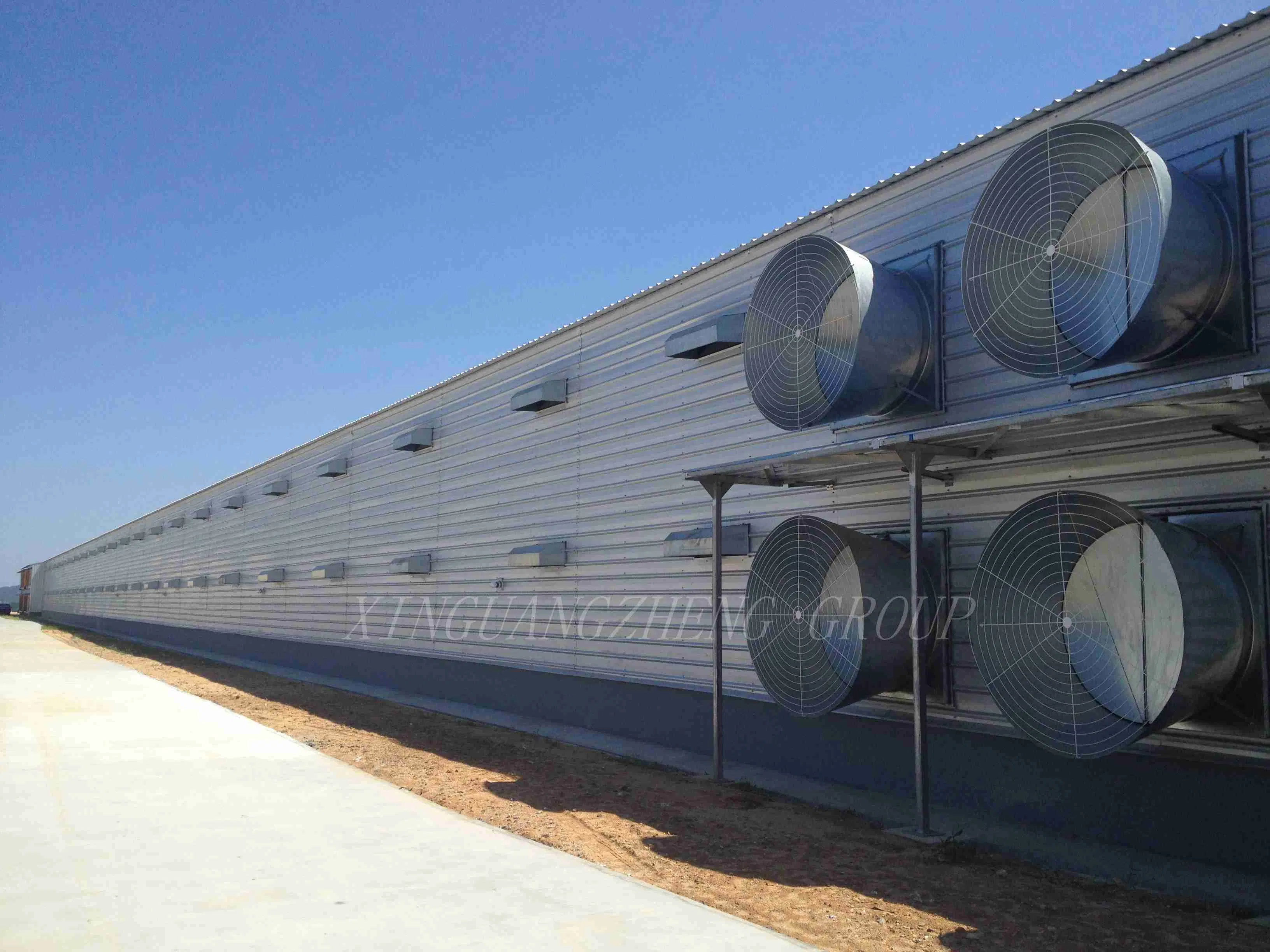 Prefabricated Light Steel Structure Construction Chicken Poultry Farms