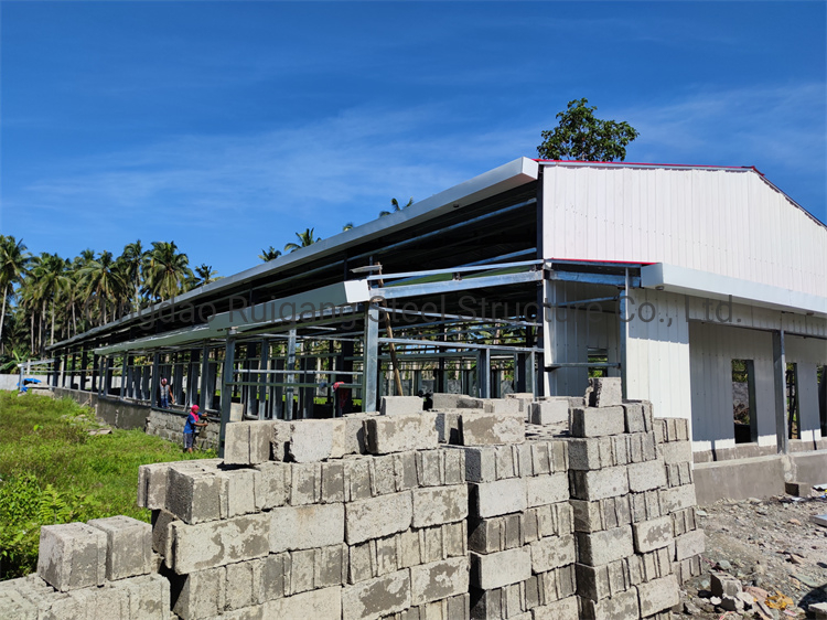 Durable and Cheap Chicken Farming for Eggs with Factory Design