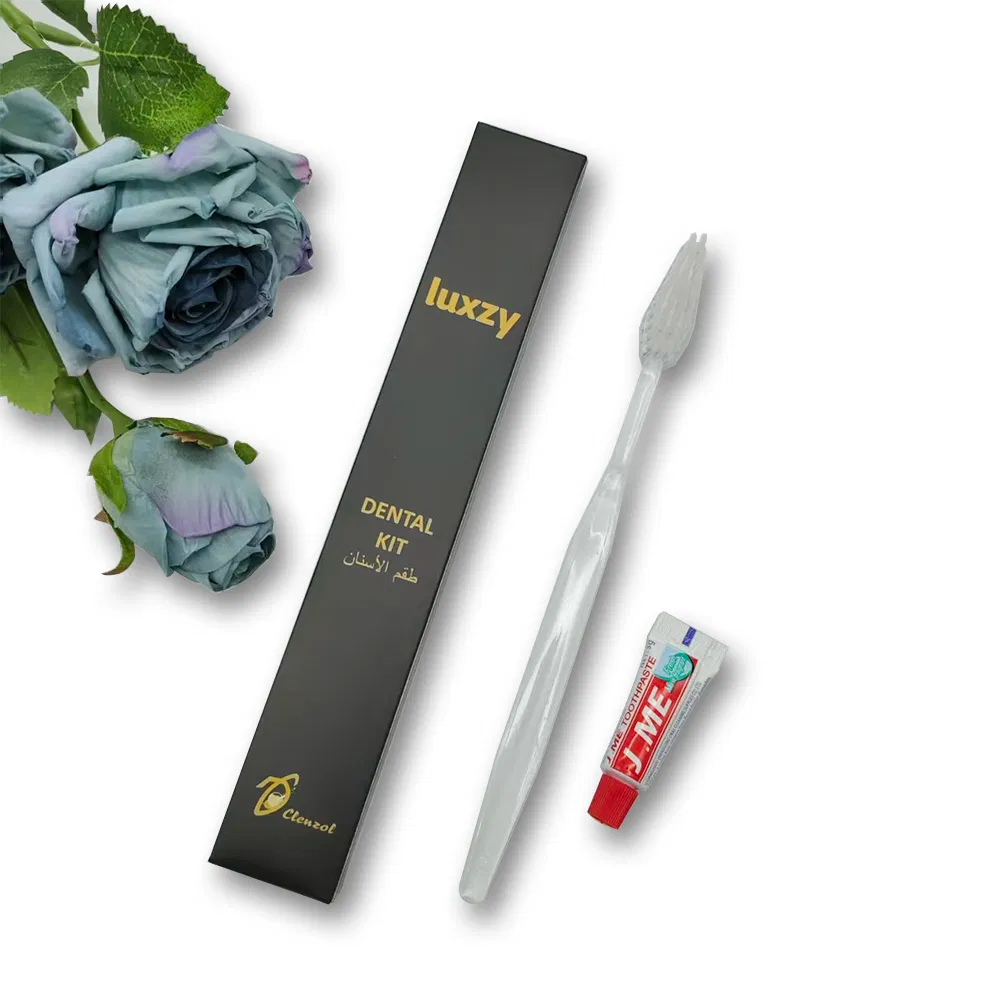 2-Layer Blades Plastic Shaving Razor for Hotel Disposable Razor Custom Hotel Amenities