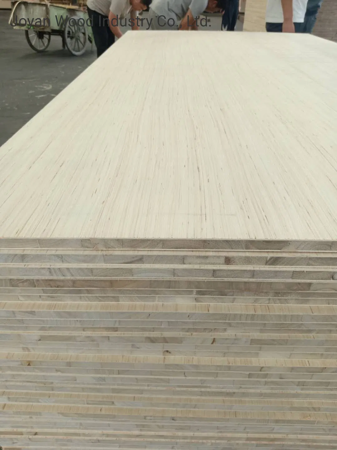 Commercial, Fancy Veneer or Melamine Laminated Block Board/Blockboard