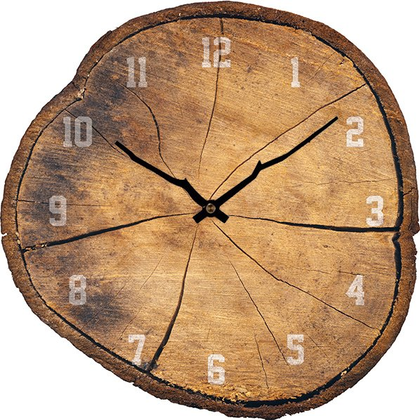 Wooden Tree Clock Decorative Wall Clock